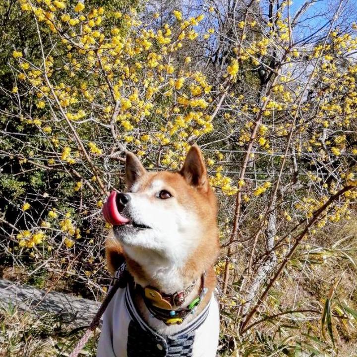 2006e7c4 cb22 4c95 b902 a1a021917180 1769069046377