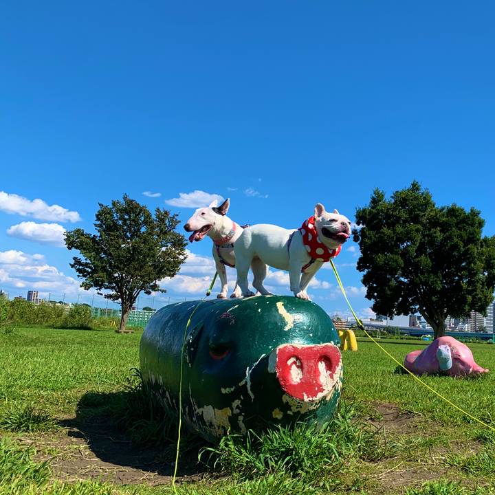 2006f0b2 a134 495f a7d4 28d0d3387cc7 1601786968440