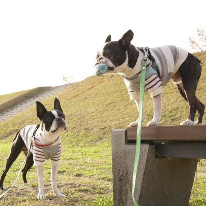 200731b7 6d8e 47a4 8b01 64a20f685ddb 1543739707598