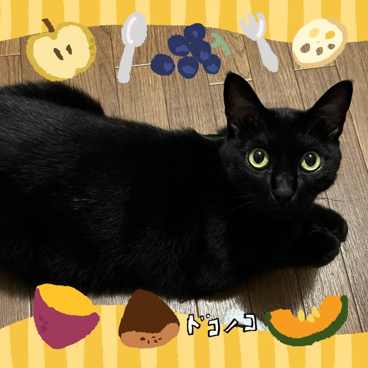 20074347 13ae 4162 a3a9 79e45e915c6d 1726811808709