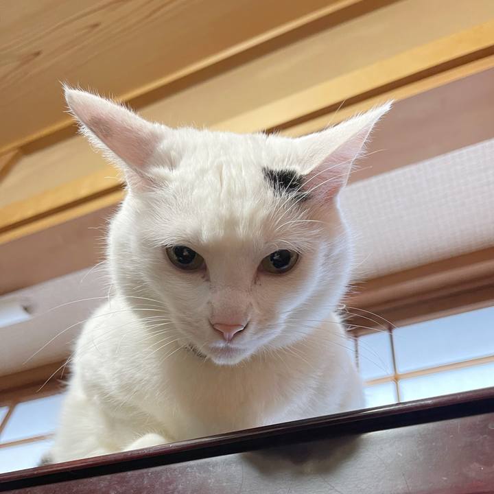 2007541e 84ae 4b03 bb05 2b304f755ffa 1771195841488