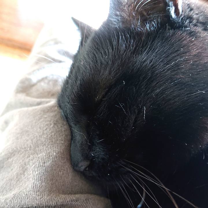 20075faa e29c 4c45 bdb3 de0523c4d456 1682046031845