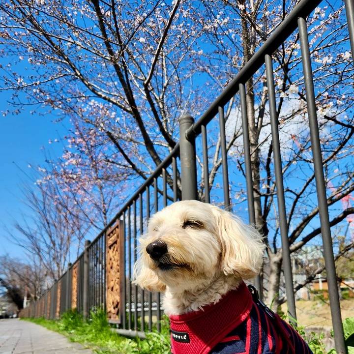 20076307 559e 44c8 ade1 c6a1e801ed2b 1773898137358