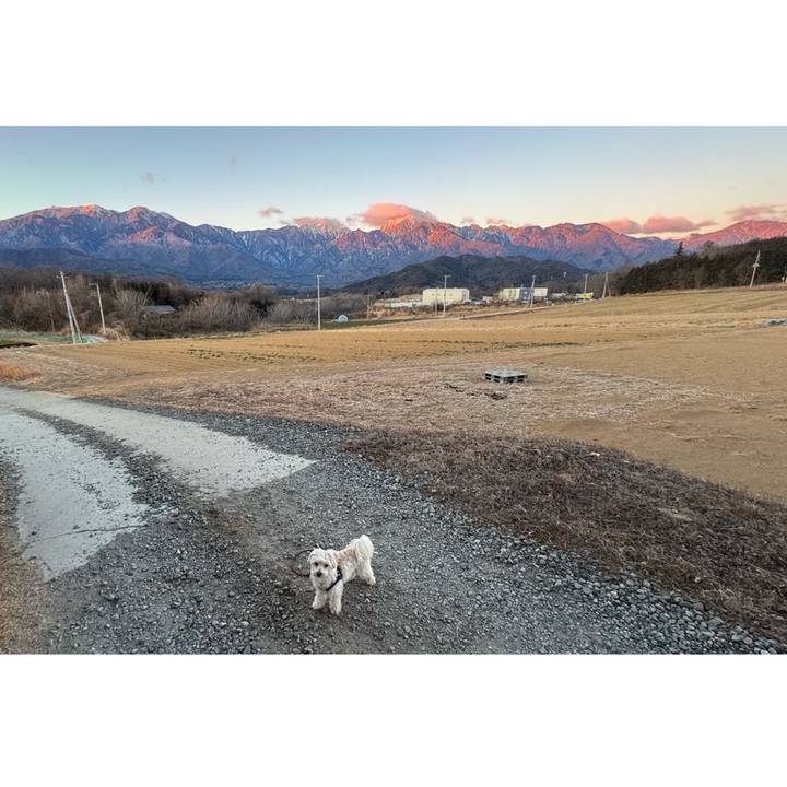 200773a3 7cf2 465f a545 838d907b7f39 1769134999742