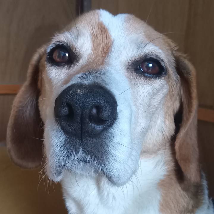 20077811 f19e 4332 a89c 3dc591cf7616 1747046707298