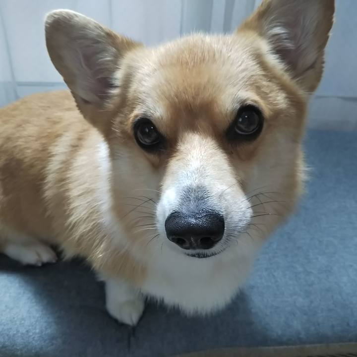 20079726 3d89 4cd7 838b c59249d80ac4 1534049606356