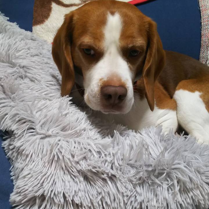 2007ce08 4c23 49e8 80d2 52c71493155d 1611831511082