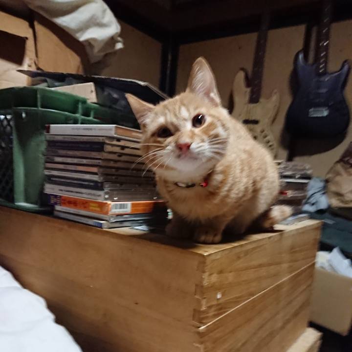 2007d052 b537 4851 8535 eb2aac711e0f 1635885174501