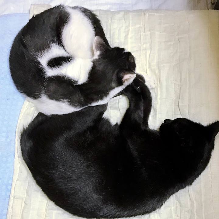 2008130a 0db0 475d 9209 b4079074563b 1508465241552