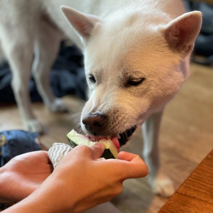 20086c10 9644 4906 8eee 60bafd65b09b 1625375058702