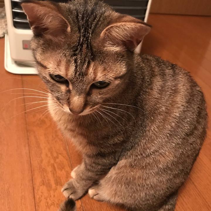 20087292 ecb4 4d14 9435 d661c9af13fd 1587594758242