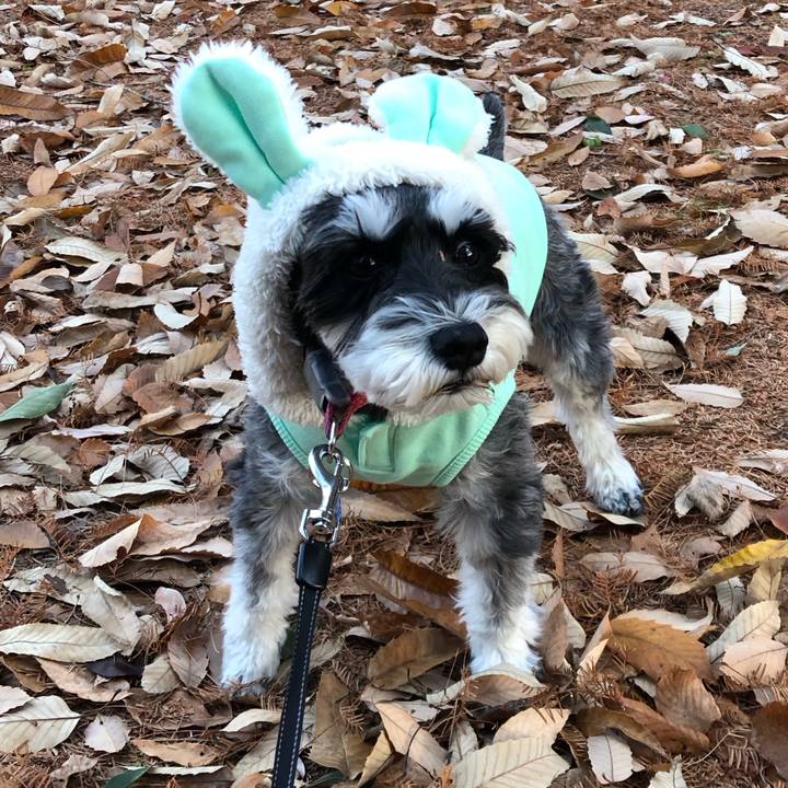 20088eb8 6a01 4c49 80a5 fd78d93c446d 1735282632194