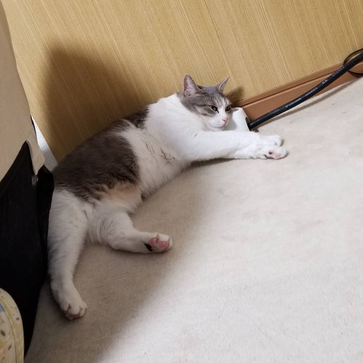 200899be 7257 45a3 9c7a 50ed8c48e729 1613462563889