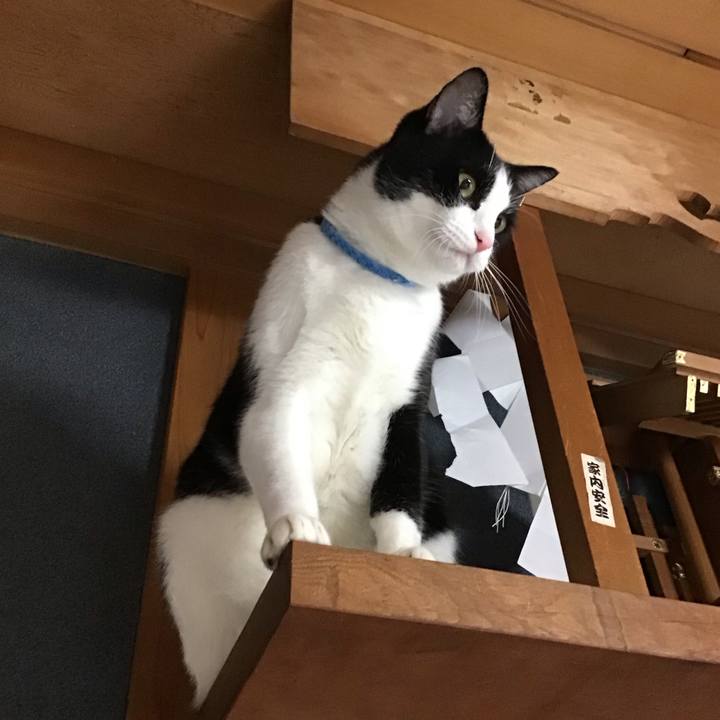 2008a106 aec6 47ef bd09 afe0c9acd187 1696842687875