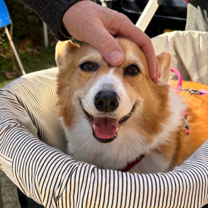 2008b703 50ad 451f b0c8 92ba9fef64f6 1732850351595