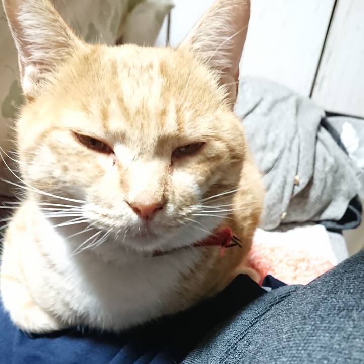 2008bdf6 0d31 4d58 a144 724cd057a852 1573808764367