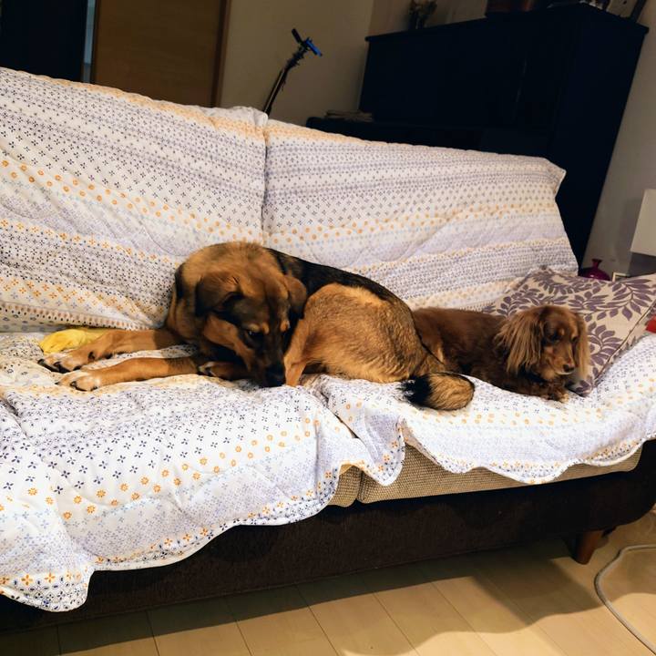 2008d149 6324 4d0b 8807 79ad33fd5019 1693902384215