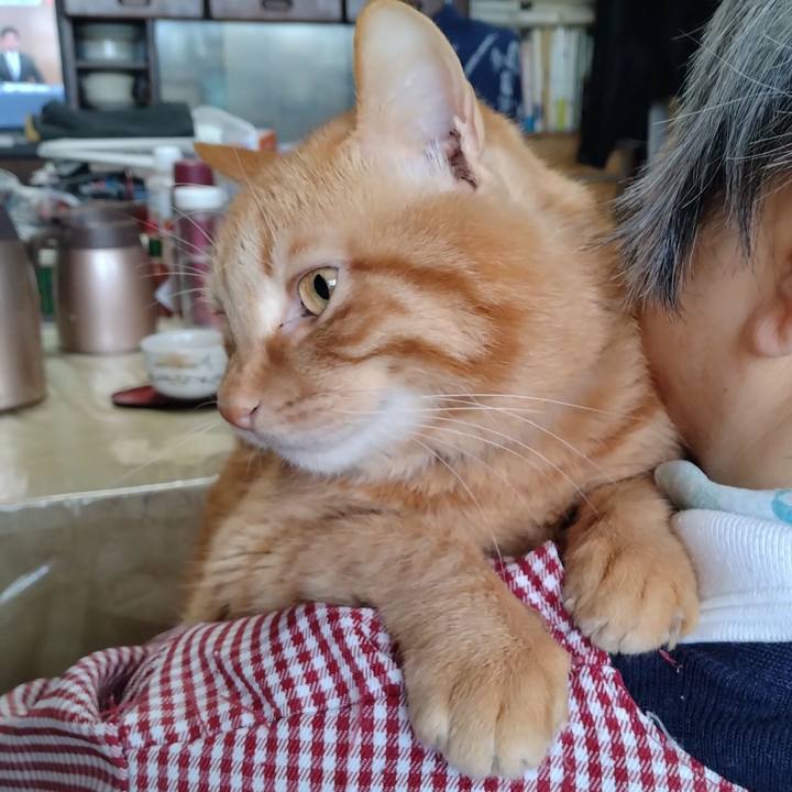 2008e06d e215 4788 a14a 33de1af49d4e 1740645402872