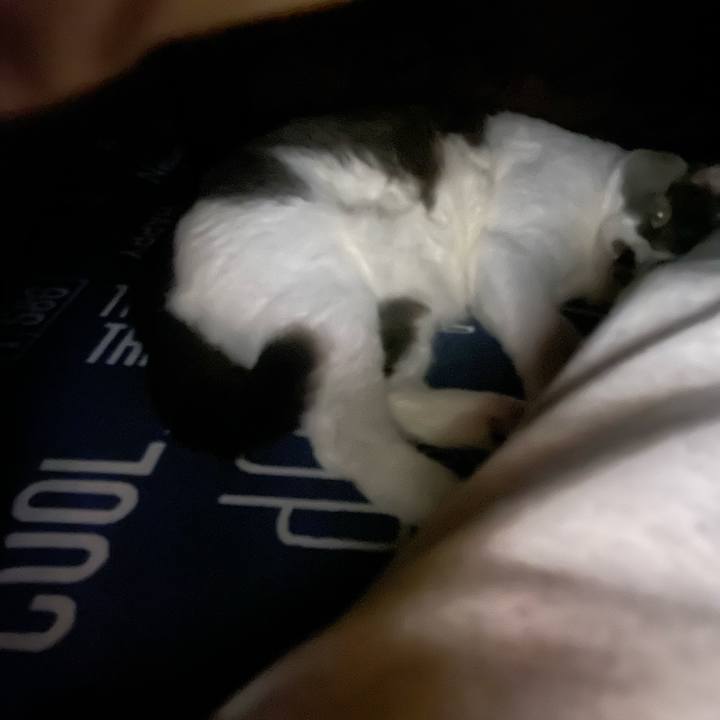 2008e272 b634 418f 96fc dada6e1d6fe7 1701354211897