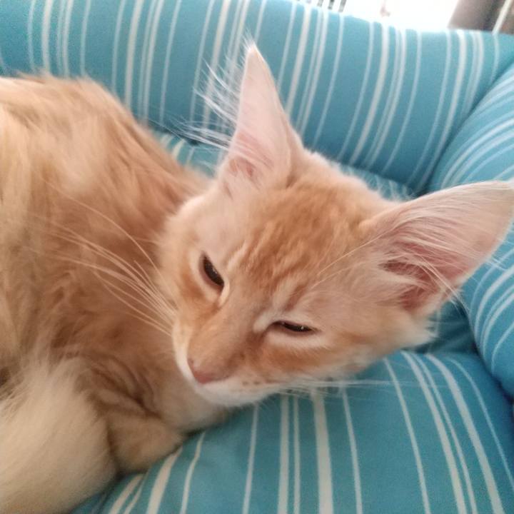 2008e6cc d76f 4cc1 95c4 3b4c0a5eefee 1608432428323