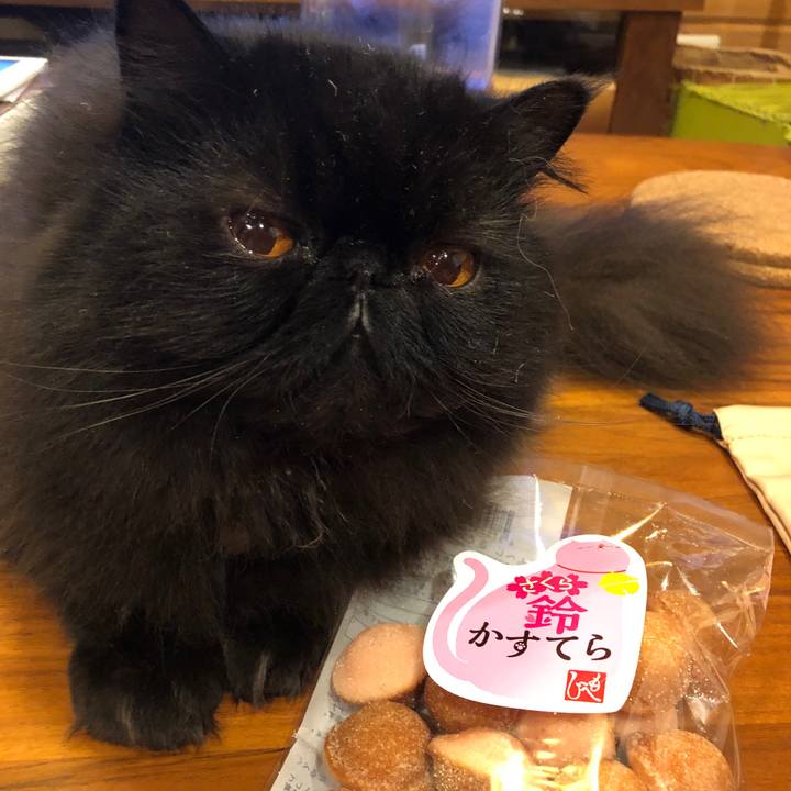 2008ed37 ccb9 4fd0 be6b 63828b8237ed 1581769149107