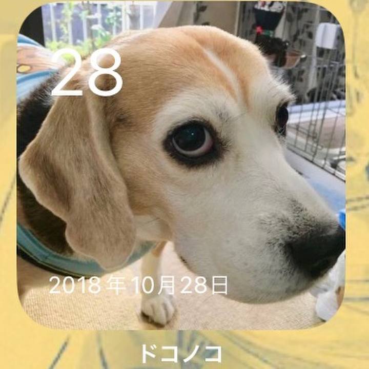 2009028b 3bc2 44ff b0e2 6bd9939781b1 1698455463680