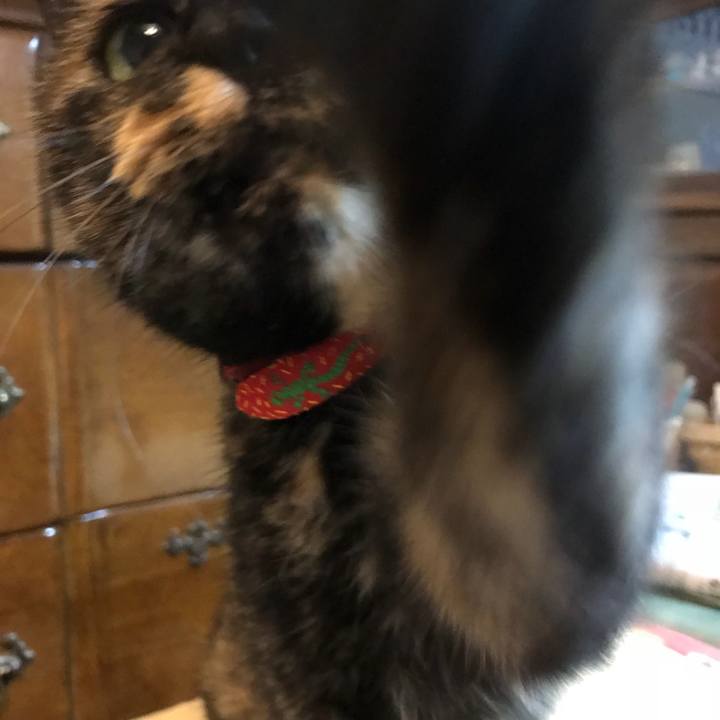 200917af b032 4ba8 8311 1446e041fb86 1523848577292