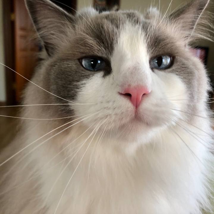 20094b66 ca2d 470d ba8a 8993b1fa1c8d 1622585224628