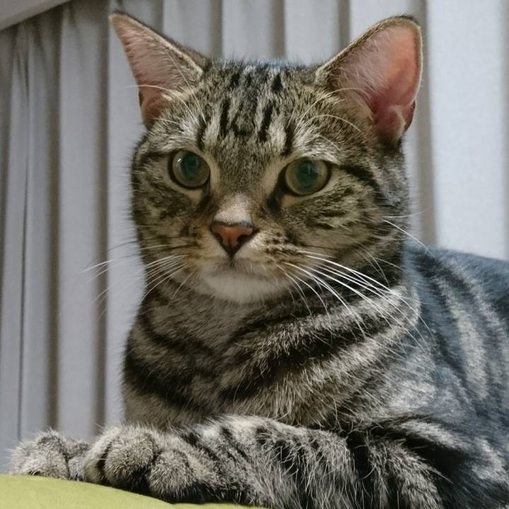 200959e6 b965 4678 b458 8018f07985ba 1508588774557