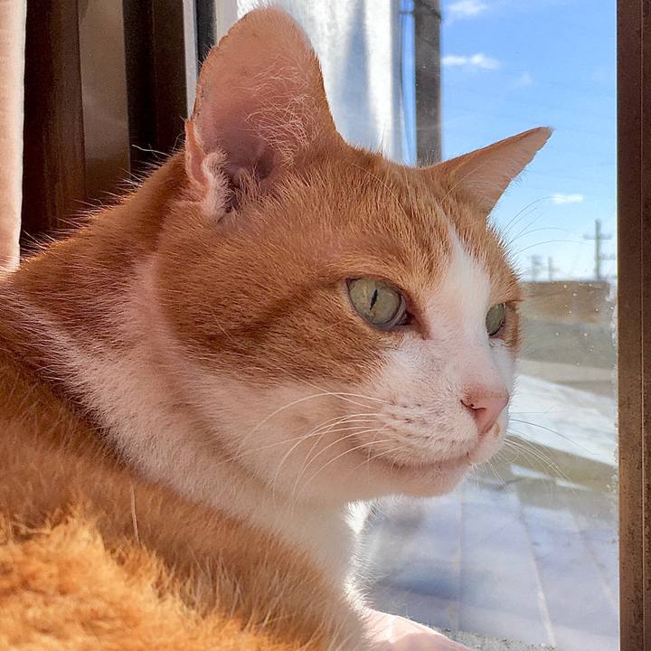 200977a1 48dc 4aff 99d2 af66af372c44 1579580420909