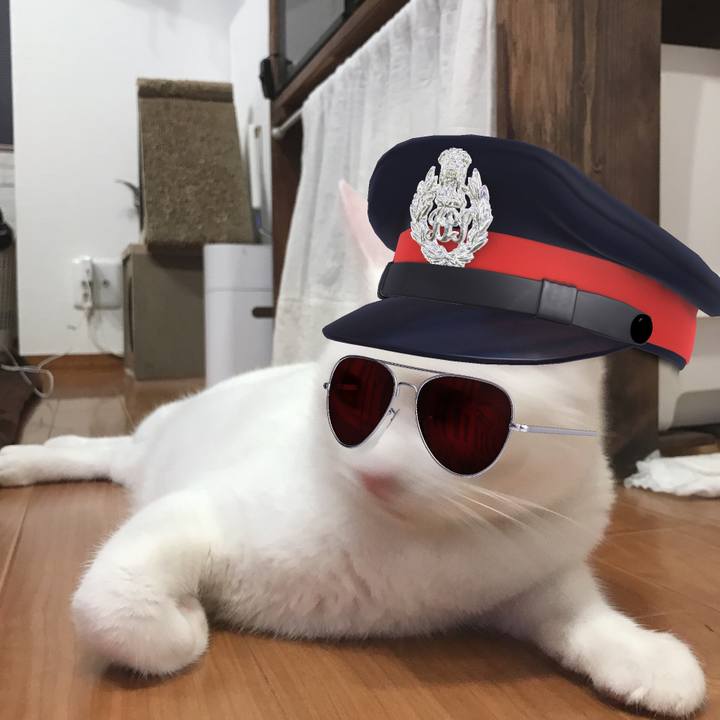 2009a06c a852 4810 86d5 76144629ea3a 1656800152690