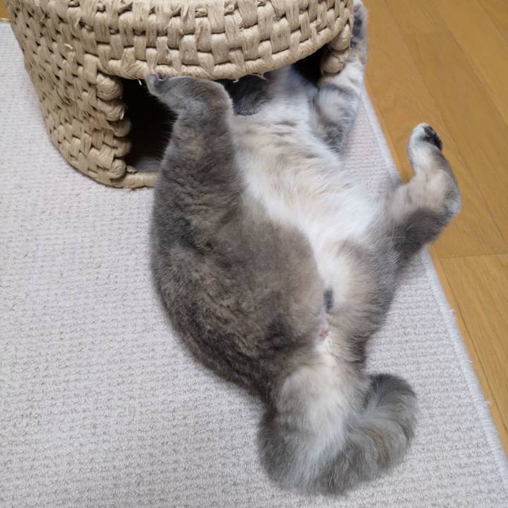 2009a0e8 90f4 44f2 a99c d40ec1545878 1563766397342