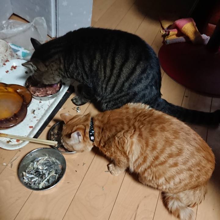 2009a761 30ac 4057 bd54 63ed825695a3 1639860323568