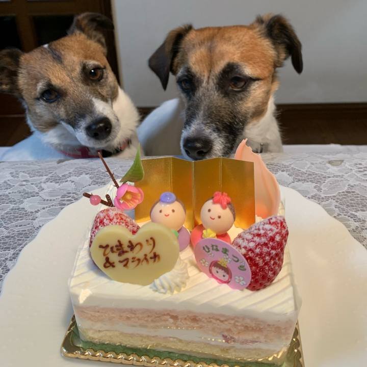 2009b74c 7c0b 422c b63d 1bc26fbb9da6 1614771256810