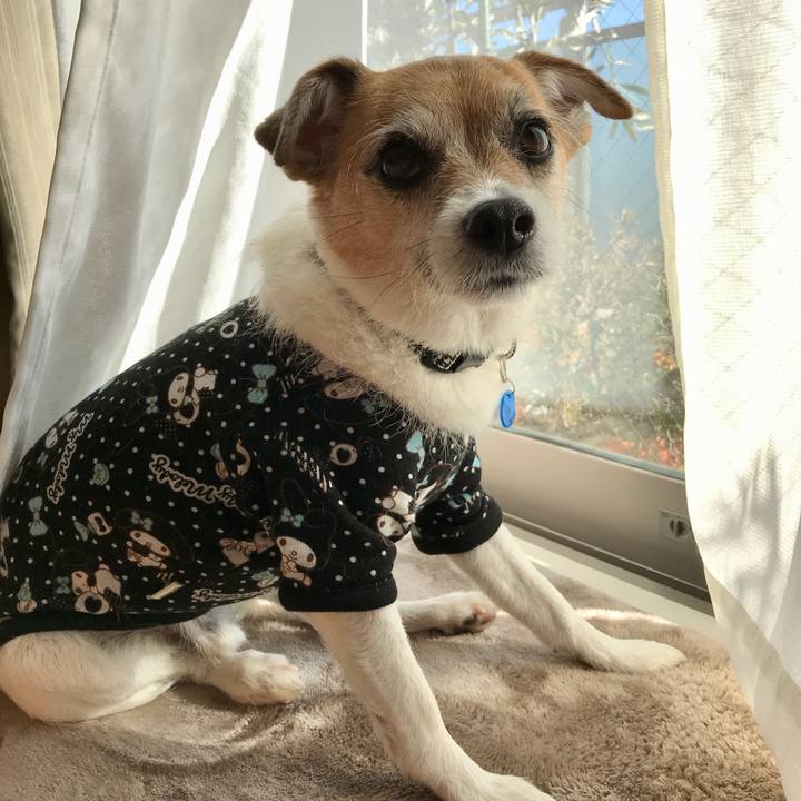 2009ee5d c220 4de7 b271 02bff10e38ee 1610512098717