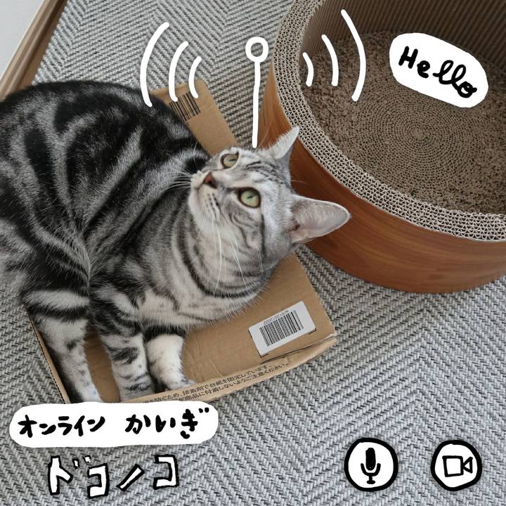 200a24b1 8330 4cb4 8578 16de26d6d327 1591188772545