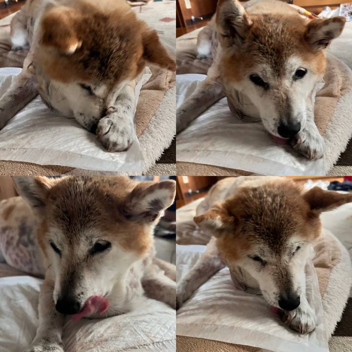 200a3658 8563 41b8 802c 327cfb5988d9 1762669989764