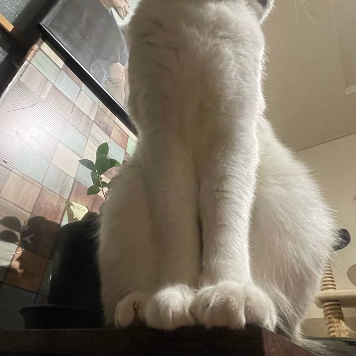 200a90ca 7e33 41c4 94f5 035202d7c708 1701441160773