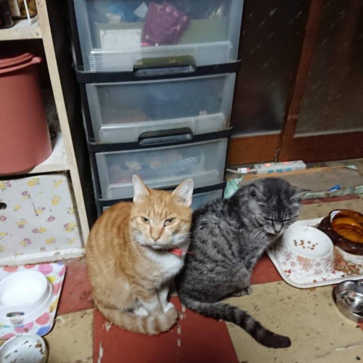 200a98ce 2123 4244 8746 07d37a46c780 1603744736465