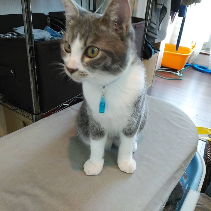 200a9985 f9db 4fdf 94a8 65edfeaaa76d 1569106484323