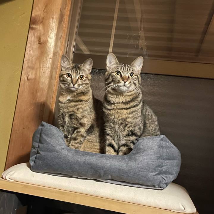 200a9f26 2ec4 4275 b71f f42aaea354ae 1755262482348