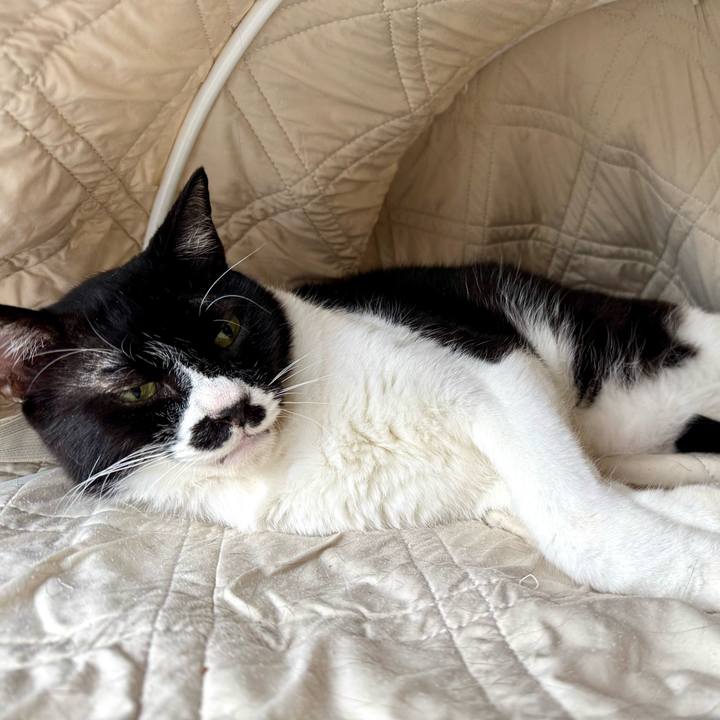 200aaa62 cc9a 48b3 9caf 2985f690a1d0 1757029424244