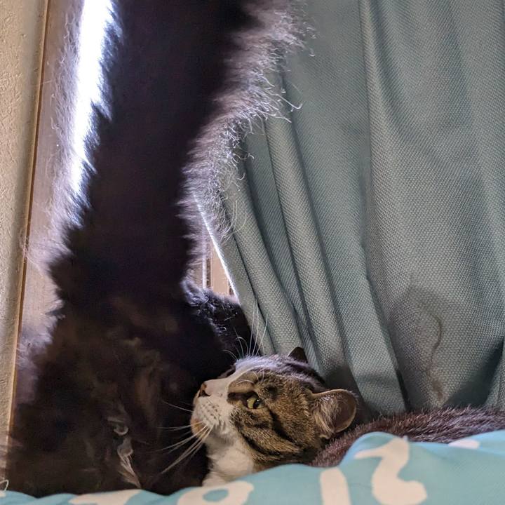 200ac193 03c1 4707 b99e b8c60cc4277b 1714345463218