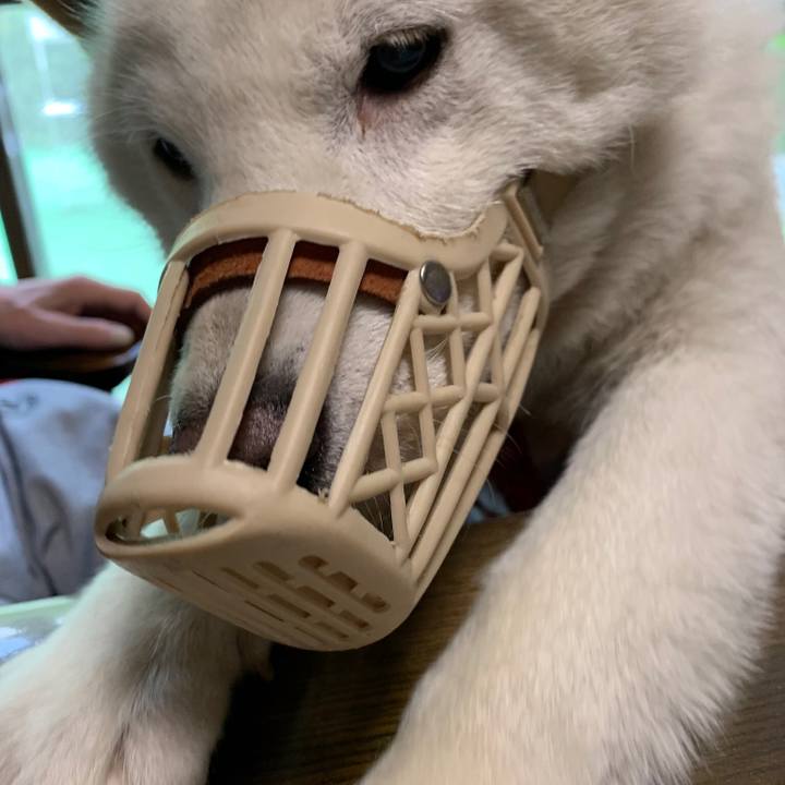 200ac69b 7426 4e2b a573 e7c3d2fd8f94 1560548621267