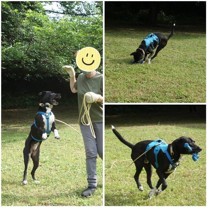 200ad3bd aa6f 4b7c b909 93e8868a5258 1623457882394