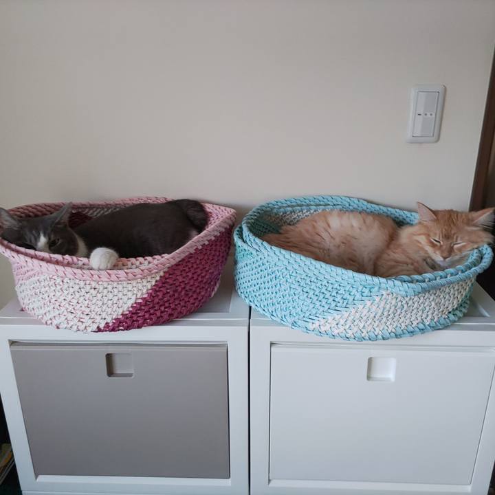 200ae449 d888 4d87 9445 a28f91474f05 1658440004576