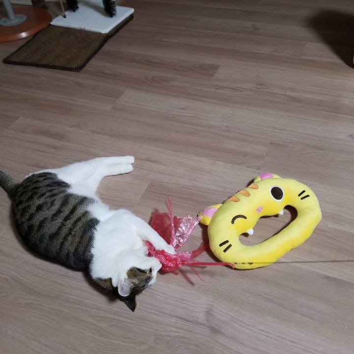 200b90f3 20ce 4e9d 878e dafd7d86f4ec 1583235738979