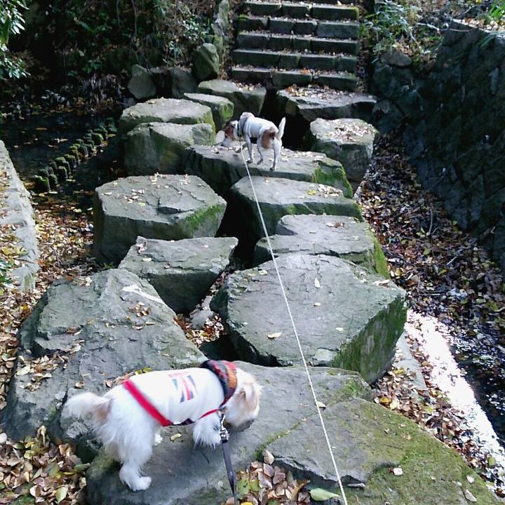 200b9548 7c02 4d8f 94f5 af4bc5713982 1512824081387