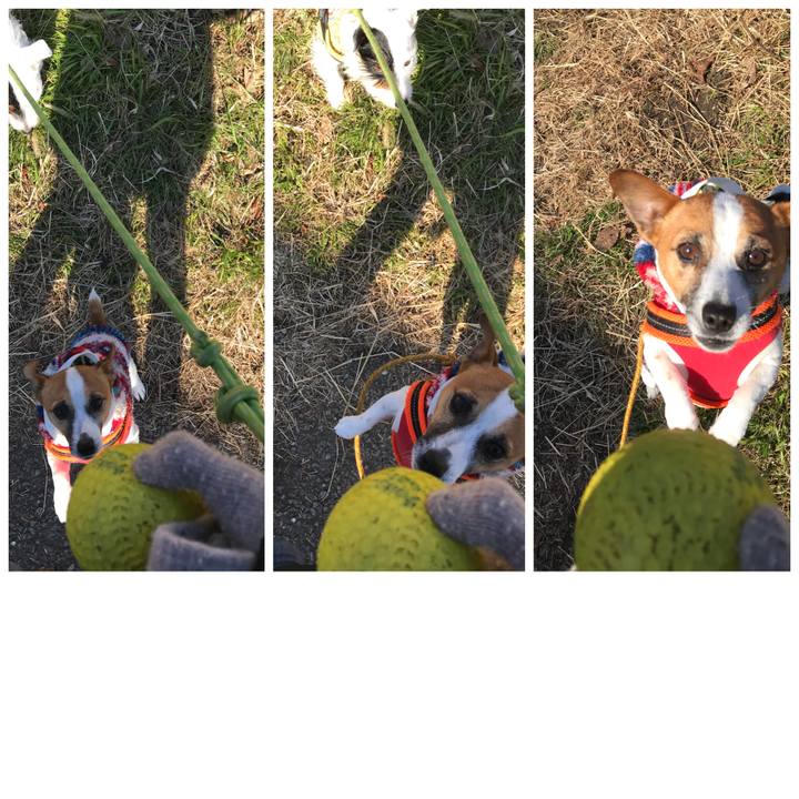 200ba6ee e6e7 4aa5 8b92 9226800deffc 1515545923416