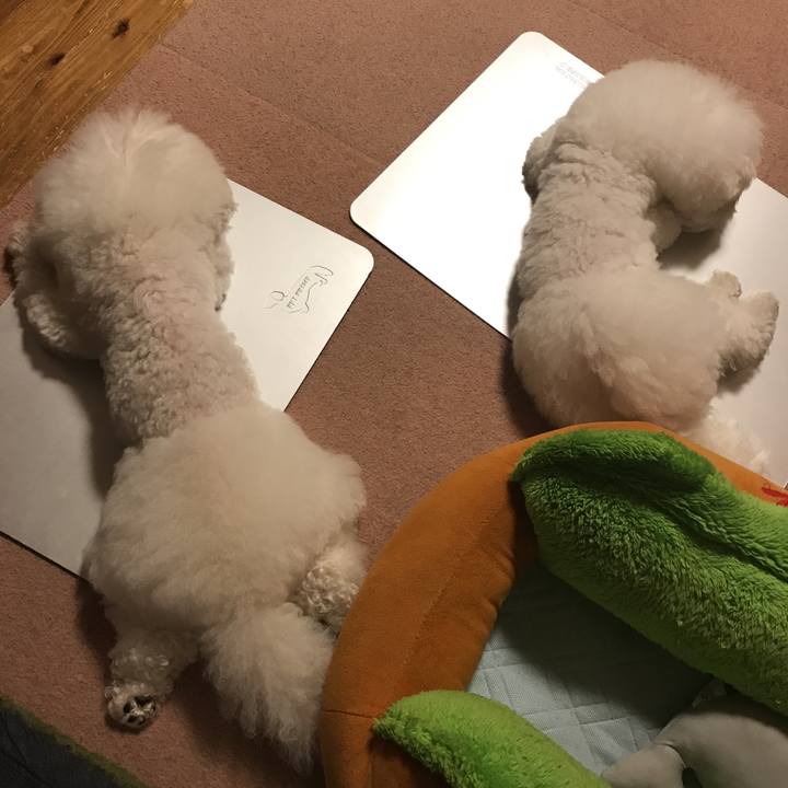 200bb044 a075 408a bc5d ba06f1b9256d 1593780797020